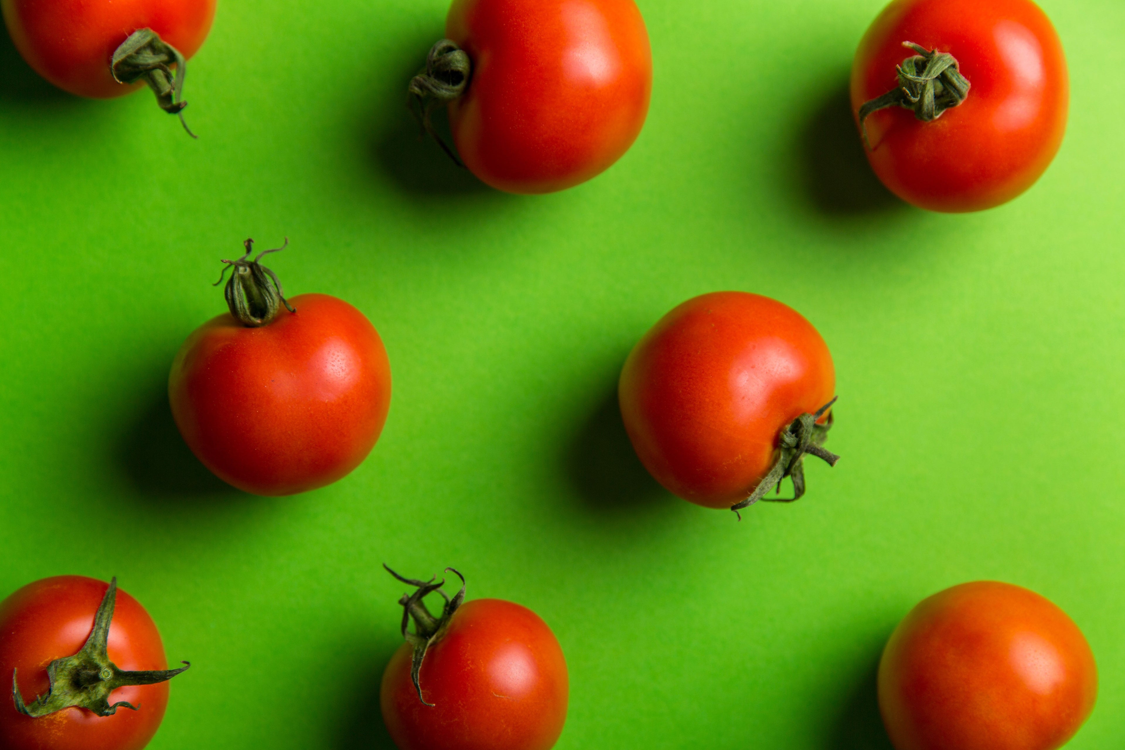 Tomato Facts: 20 Fascinating Things You Probably Didn't Know