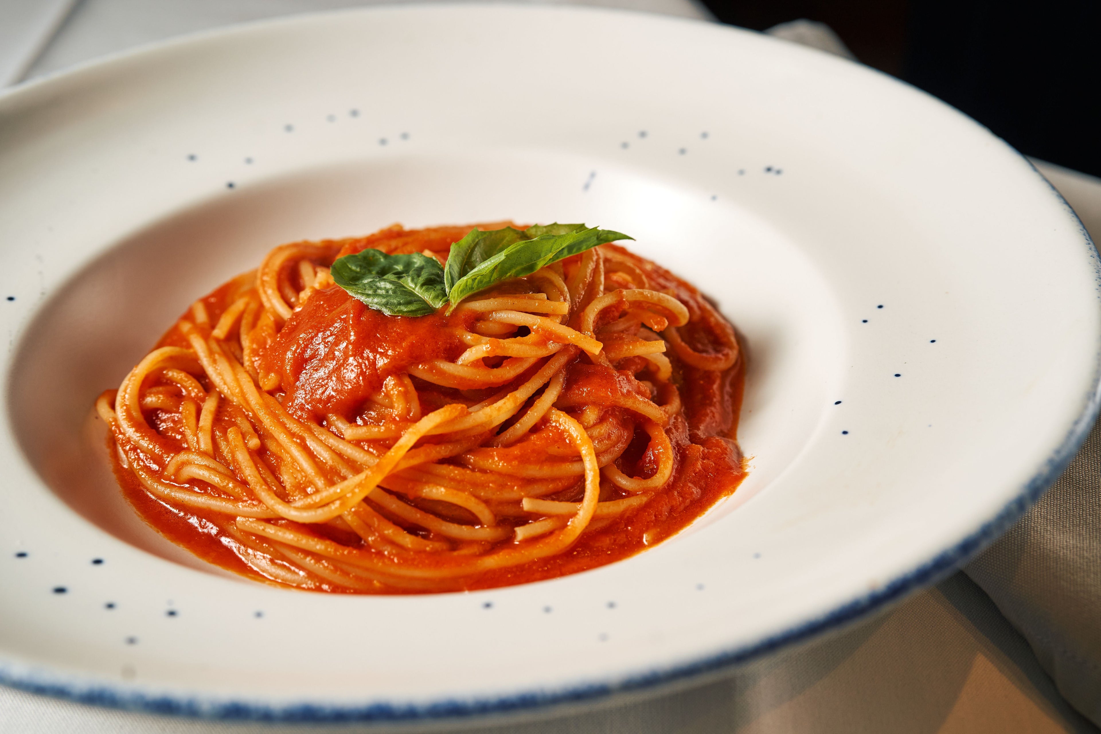 Tomato Sauce Recipes: A Journey Through the World's Favourite Red Sauce